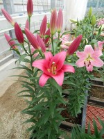 [5682 VZ W09 3216-02 No01.JPG]